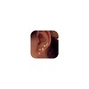 Earrings 925 Silver Stud Earrings Set for Women, 14K Gold-Plated