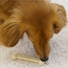 Doggy Man Gush Bones Small x 3 Pieces