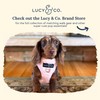Lucy & Co. Cute No-Pull Rosewater Teddy Harness - Stop