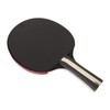 REGAIL Ping Pong Paddle Set Portable Table Tennis Set With