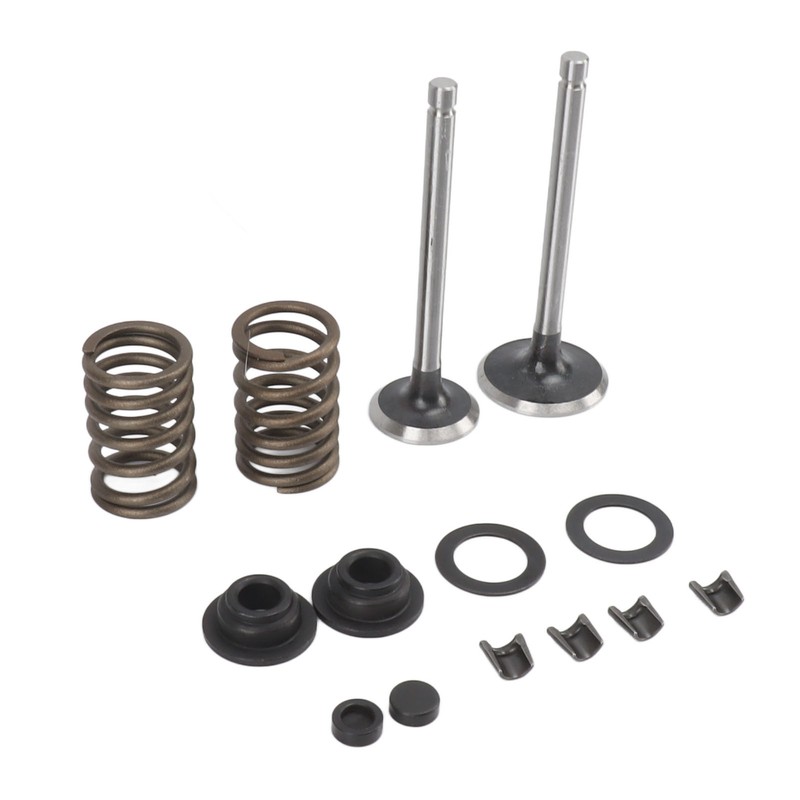 Microtiller Valve Parts Iron Wear Resistant Anti Corrosion Spring Washer