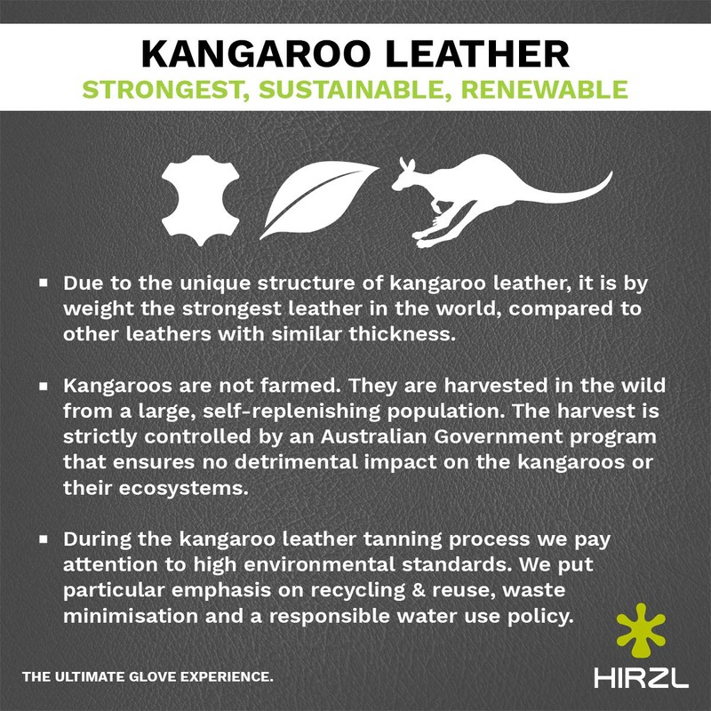 HIRZL GRIPPP Light FF (All Black, L/9)