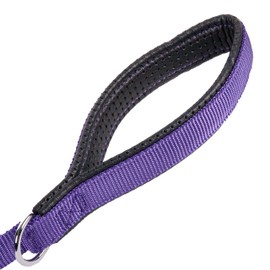 GOGO Pet Products 3/4-Inch Wide Comfy Nylon Dog Leash, 6-Feet Long, Purple