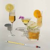 Hydrometer Alcohol 0-200 Proof and Tralle Accurate Alcohol Proof Tester