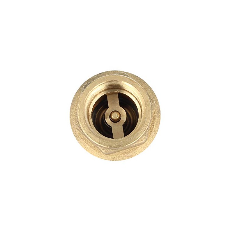 Check Valve"Europe