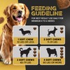 Probiotic Dog Supplements