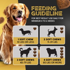 Probiotic Dog Supplements