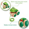 Hape Frog Pull-Along | Wooden Frog Fly Eating Pull Toddler