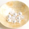 NBK LW4493-10 Pearl Half-Round Buttons, 10 Pieces, φ0.4 inches (10