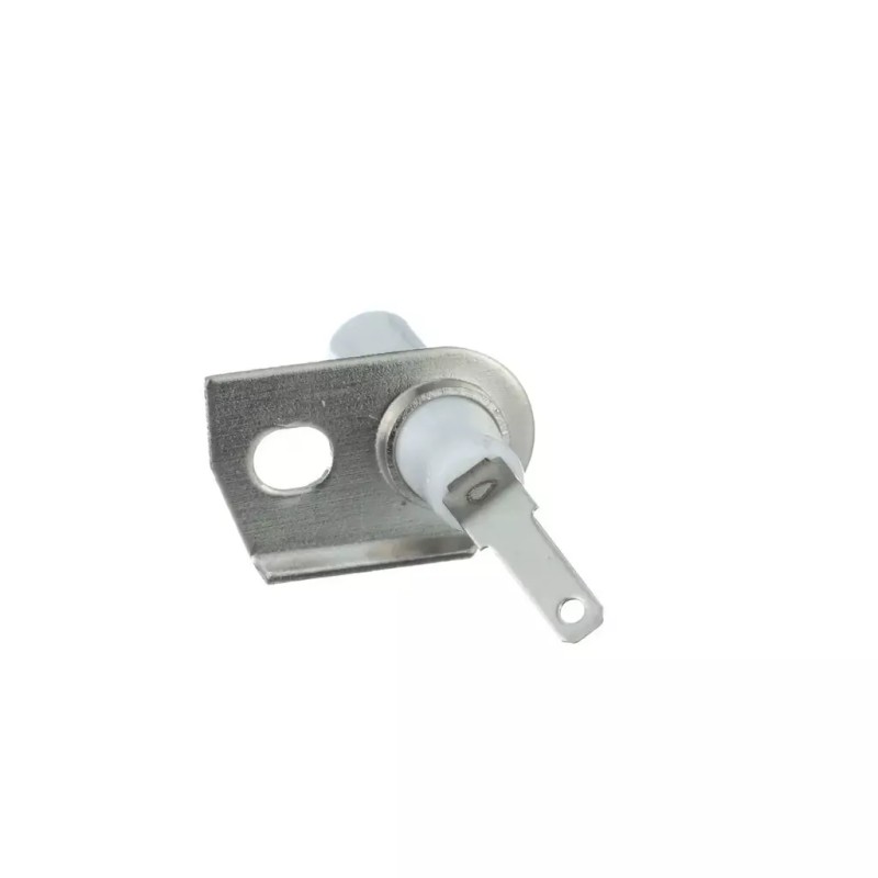 Scaroo Stove Burner Igniter Spark Electrode Compatible for Frigidaire 283440A