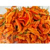 Sugar Rush Peach Stripey Chilli Seeds - Sugar Rush Peach