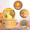 HABOWN Crystal Ball Music Box, 360° Rotating Wooden Music Box