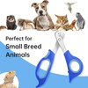 KEUYE Bearded Dragon Nail Clippers,Stainless Steel Bearded Dragon Toe Nail