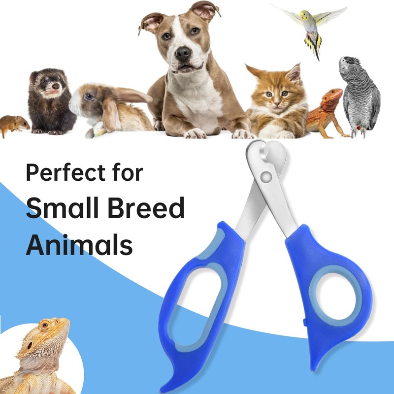 KEUYE Bearded Dragon Nail Clippers,Stainless Steel Bearded Dragon Toe Nail