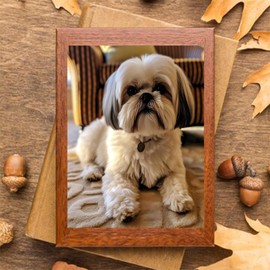 MOER SKY 5D Shih Tzu Diamond Painting Kits for Adults, White and Brown Shih Tzu DIY Full Drill Crystal Arts and Crafts, Gem Art Paints Home Wall Decor Gifts 12x16 inch