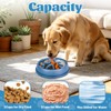 Slow Feeder Dog Bowl, Anti Choke Slow Eat Dog Bowl