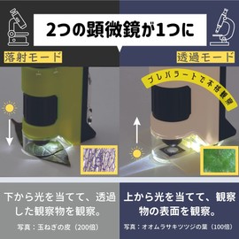 Raymay Fujii RXT1144M Handy Microscope DX Green