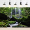 Waterfall Aquarium Background Jungle Forest Stream Landscape Terrarium Backdrop Tropical
