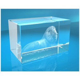 ELUNO 3D Glass Cuboid I Lion