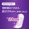 Whisper Thin and Secure 80cc 20 Sheets (Absorbent Napkin Urinary