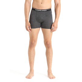 Icebreaker Men's Anatomica Boxers, Jet HTHR, Large
