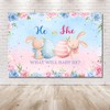 MEHOFOND Easter Bunny Gender Reveal Backdrop He Or She What