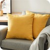 Topfinel Set of 2 Plain Cushion Covers, Decorative Chenille Cushion