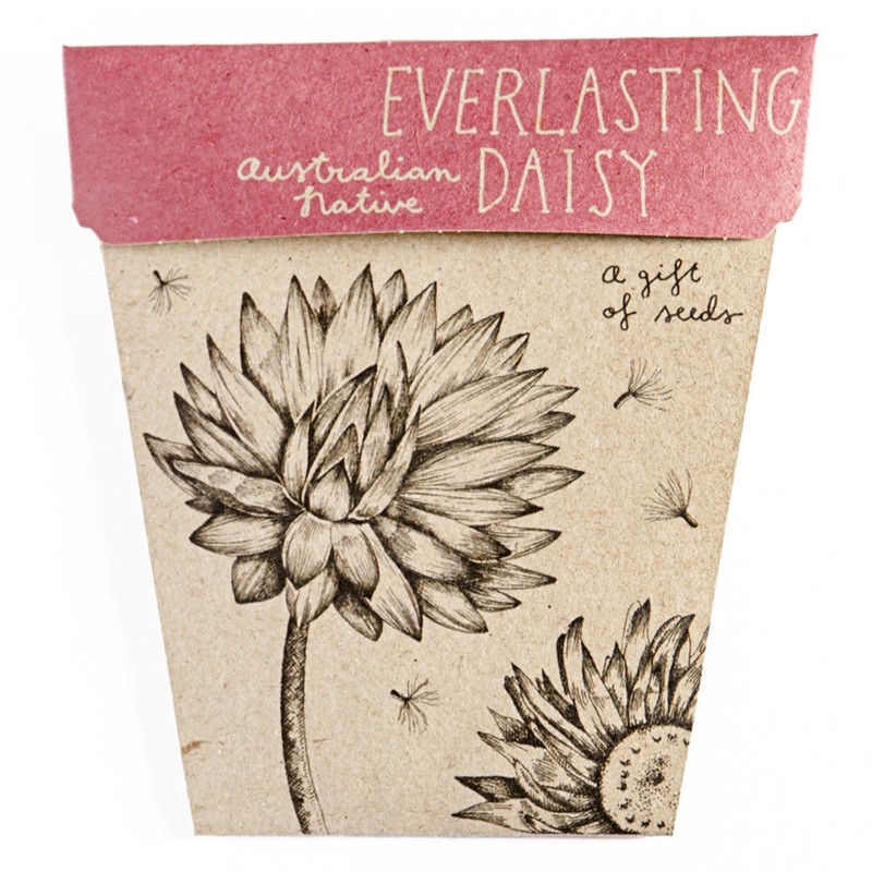 SOW 'N SOW Gift of Seeds - different styles, Poppy