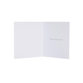 Box Of 10 Marie Curie Charity Peace & Hope Christmas Cards In 2 Designs