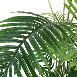 Palmera Artificial Árbol Palmera Falsa con Maceta Plastico, Planta de Imitación Areca Hoja Artificial Tropical Decoración para hogar,Oficina o...     