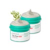 BRING GREEN Tea Tree Cica Pore Pack (Tea Tree Cica
