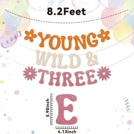 Young Wild & Three Banner - Three Groovy Birthday Decor, Girl 3rd Bday Banner, Boho Retro Groovy Birthday Party Decoration