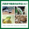 All Bright Reptile Shelter Reptile Shelter Cave Tunnel House Cave