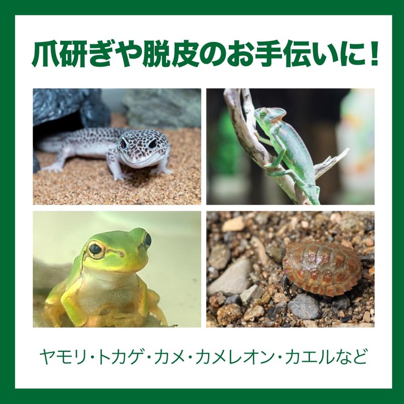 All Bright Reptile Shelter Reptile Shelter Cave Tunnel House Cave