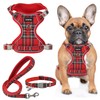 GAMUDA Dog Harness Collar and Leash Set, Dog Harness, No