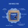 Organic Blueberry Powder - 100% Canadian Blueberries, Pure, No Sugar