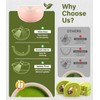 Matcha Set (7-Piece) Which Matcha Whisk, Matcha Cup, Matcha Bowl,
