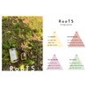 RooT5|Vegan Certified|Full Body Moisturizing Multi Oil 50ml|Fruity Floral | 100%
