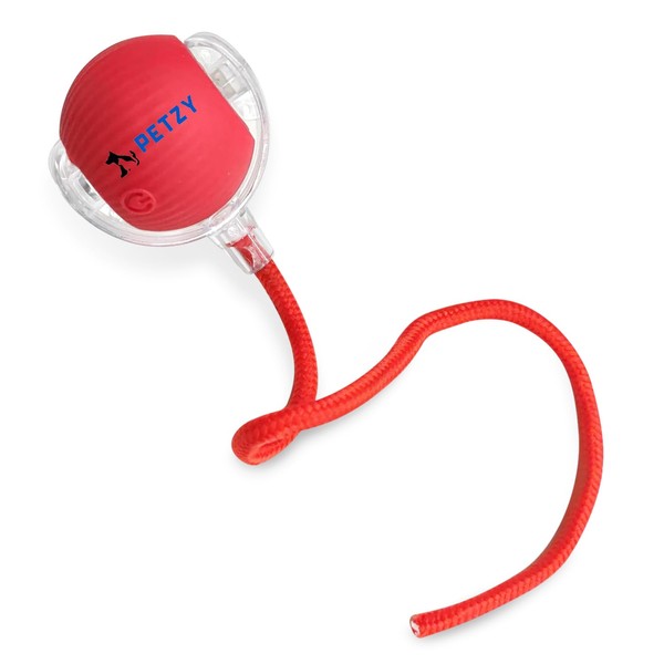 PETZY Interactive Dog & Cat Toys – Automatic Electric Moving