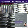 アズーロ ルンゴII 220g タテホロシルバーＧＨ オフショア ジグ タチウオパターン スロージギング ジギング