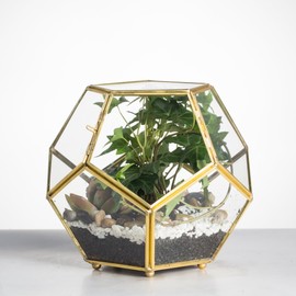 NCYP 5.9inches Gold Brass Glass Geometric Terrarium Planter with Door and Foot, Pentagon Ball Shape Close Flower Pot for Fern Succulents Plants, Small Display Box (No Plants)