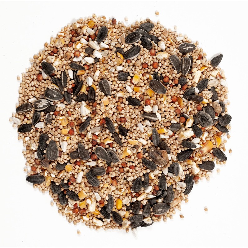 Wagner's 62004 Eastern Regional Wild Bird Food, 20-Pound Bag