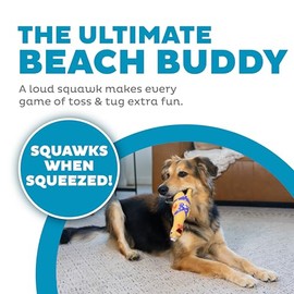 Charming Pet Squawkers Dog Toys