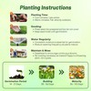 Outsidepride Iceland Poppy Seeds for Planting Outdoors - 5000 Pcs.