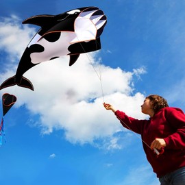 Kite Kite, Kite Kite for Adults and Teens, Perfect for Beginners, Easy to Assemble, Easy to Operate, Storage Bag Included, Perfect for Kite Outing Leisure