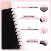Arison Lashes Easy Fan Lashes, 0.05 D Curl, 10 mm