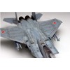Platz 1/72 Air Self-Defense Force Flagship Fighter F-15J Eagle Plastic