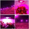 Full Spectrum LED Grow Lights for Indoor Plants, CANAGROW Waterproof