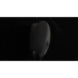 Unbranded Chair Office Lumbar Support Waist Pillow Gel Memory Foam Car Seat Back Cushion