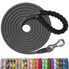 NTR 30FT Puppy Leash, Nylon Rope Long Dog Leash with